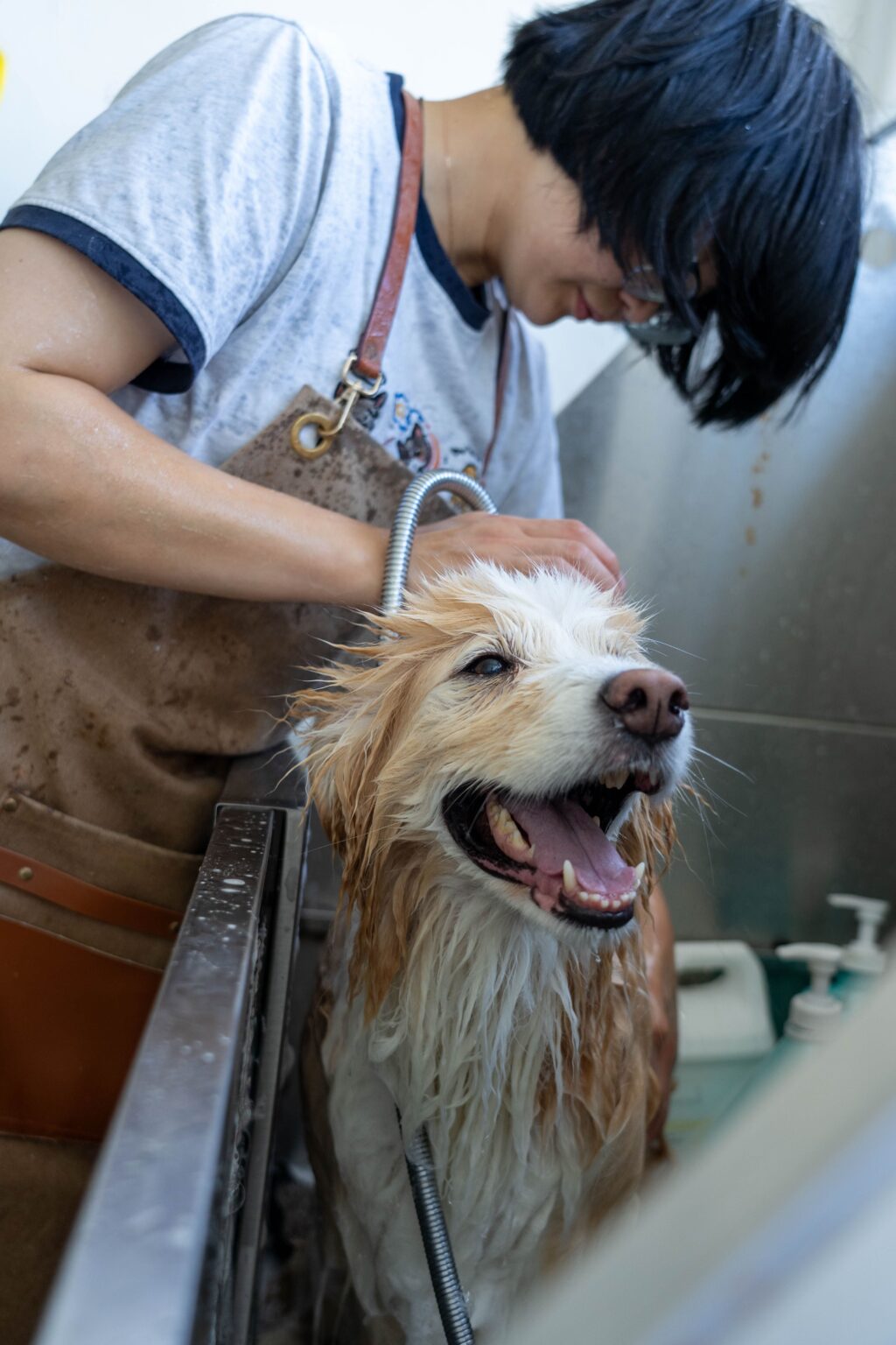 Happy dog receiving a bath at Pet Shore grooming services in New Zealand